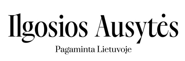 Ilgosios Ausytės